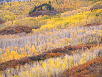 Aspen Ridgeline