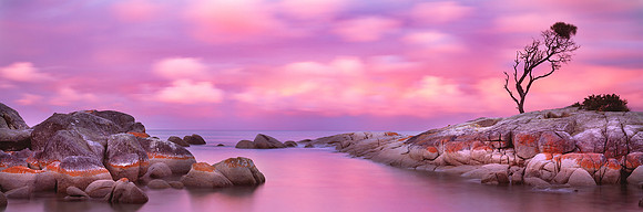 Natures Miracle