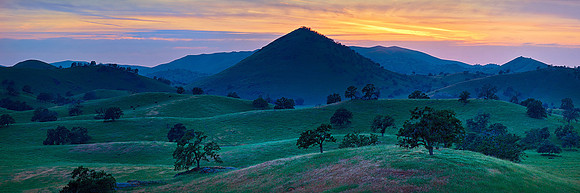 Rolling Hills, Oaks  and Sunset