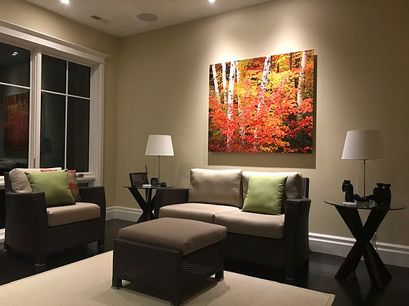 Birch and Crimson Maple 43" x 57"l