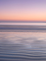 Tofino 1339