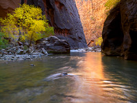 Canyon Reflections