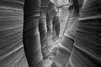Slot Canyon Waves