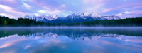 Herbert Lake