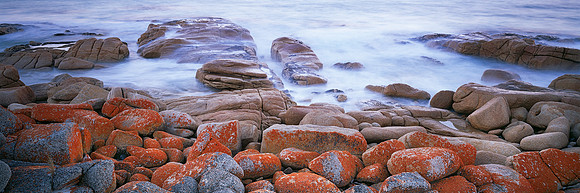Red Lichen on Granite Boulders