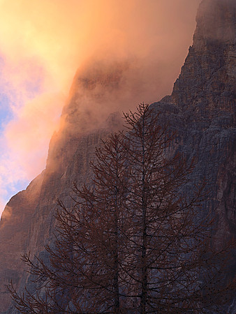 Larch Sunset 1